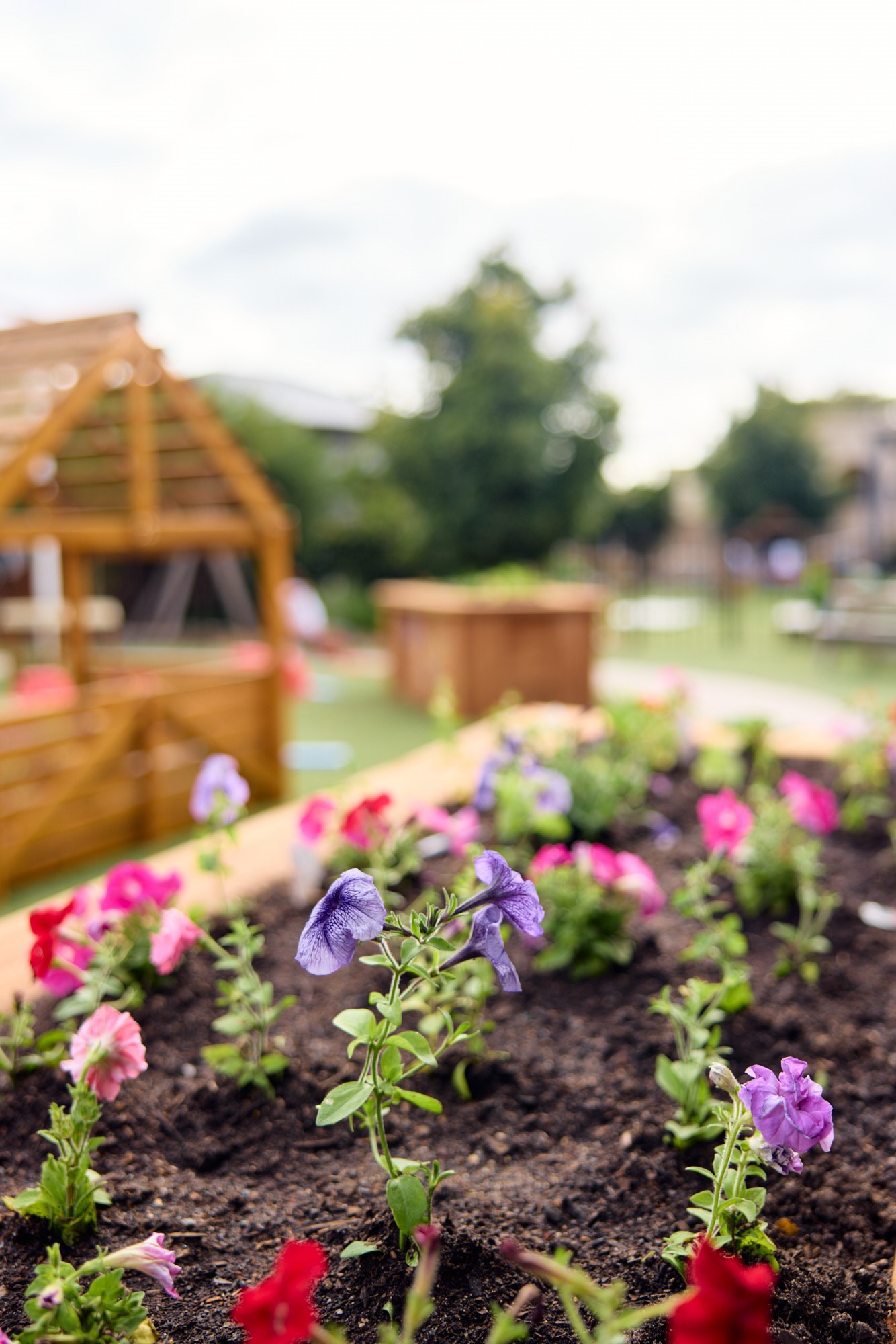 2-Greenvale-Goodstart-Childcare-outdoor-play-early-educators-play-based-early-learning-bush.jpg