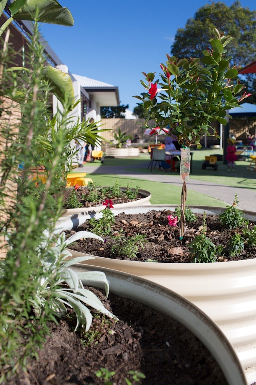Noosaville-3ae1ea8e-955a-475a-b2f1-f8bcf74b12dc.jpg