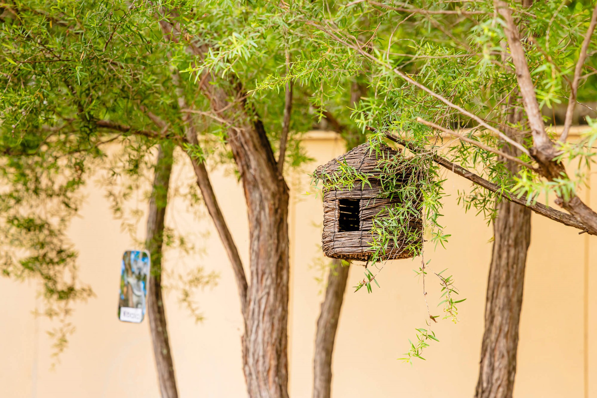 goodstart-browns-plains-wembley-road-birdhouse-tree-nursery-yard.jpg